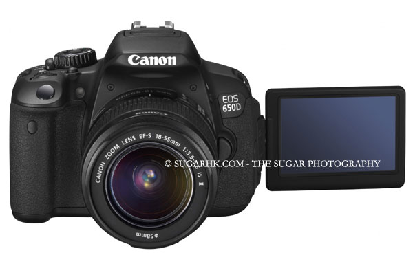 攝影 攝影新聞 攝影入門 攝影好去處 攝影專題 影相 夜攝 Canon EOS 650D女攝影師 女性攝影網站 數碼攝影 數碼相機 攝影新聞 攝影師